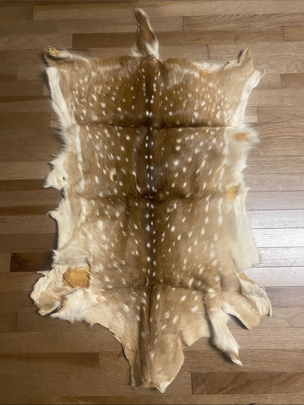 Natural Spotted Deer Hide Rug- Light Brown & Cream